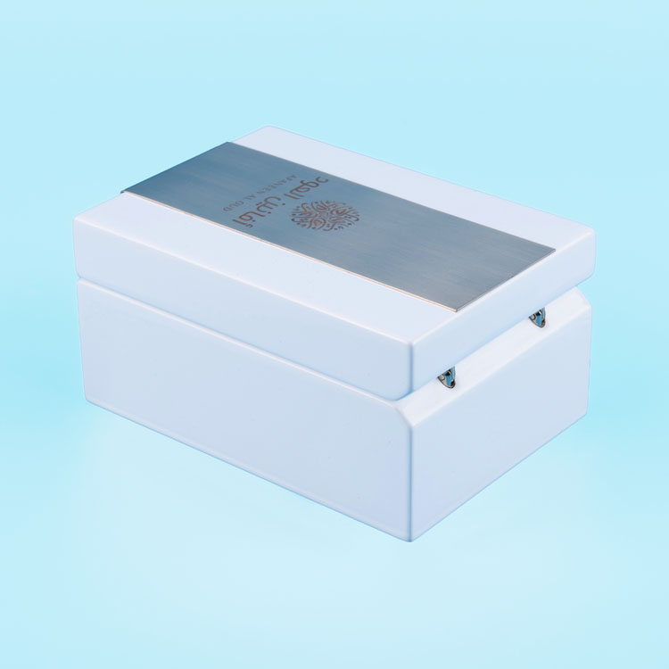 Boîte de parfum en bois peint en blanc petit et élégant avec accessoires en acier inoxydable brossé