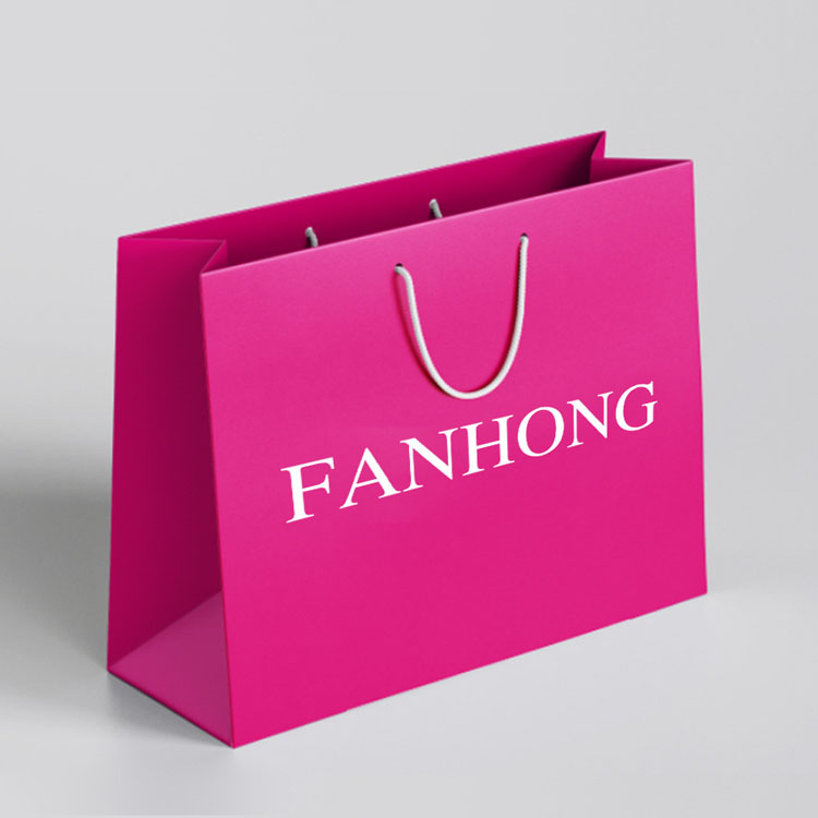 Poignée de ruban de luxe Emballage de boutique d'achat de boutiques Sacs-cadeaux en papier d'euro imprimés personnalisés avec logo